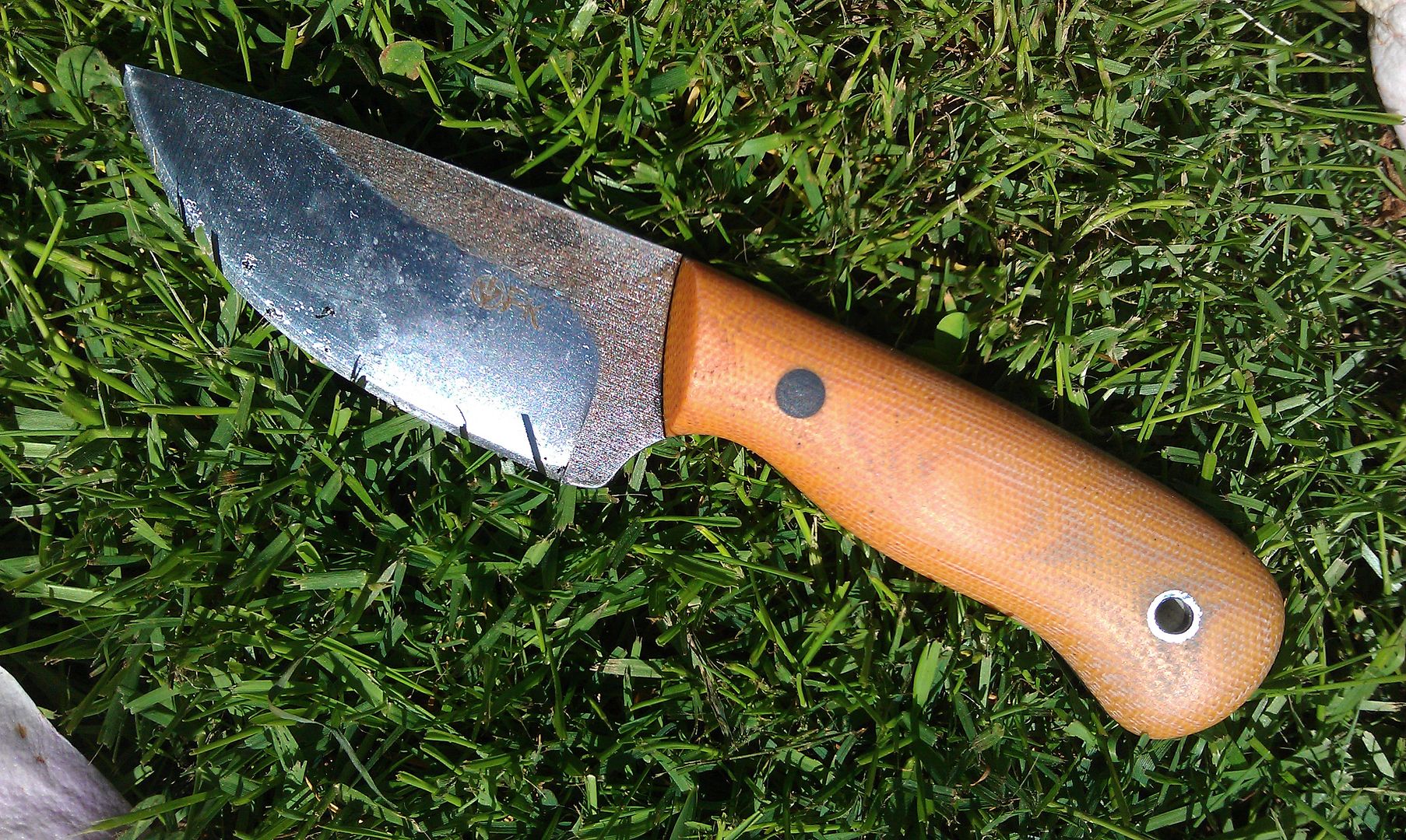 IMAG0071.jpg