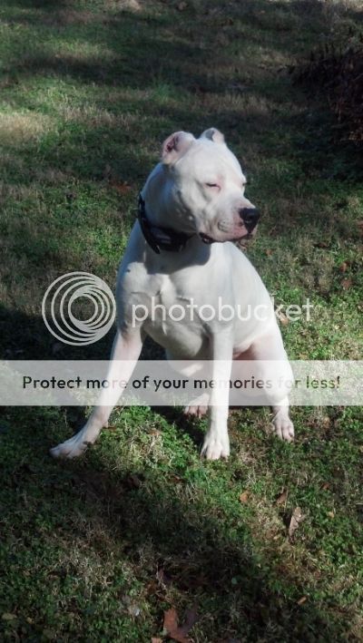 magnusoutside3_zpsd73d383b.jpg