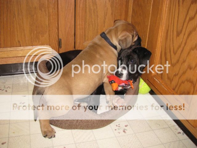 IMG_2306.jpg