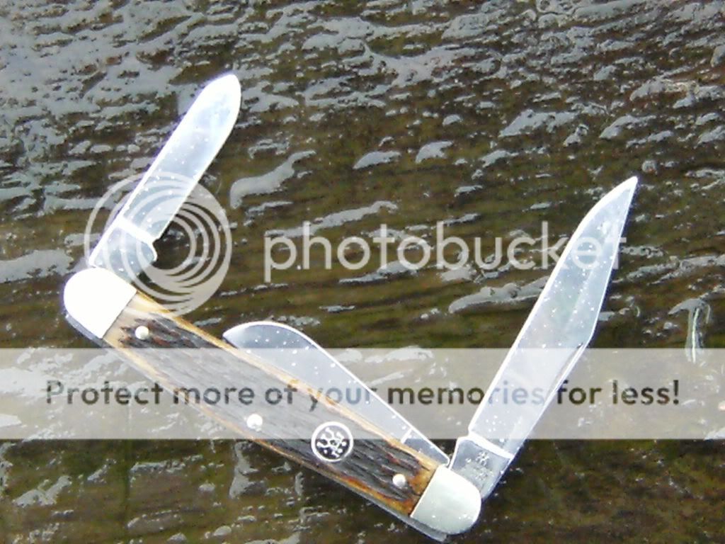 DSCF3557.jpg
