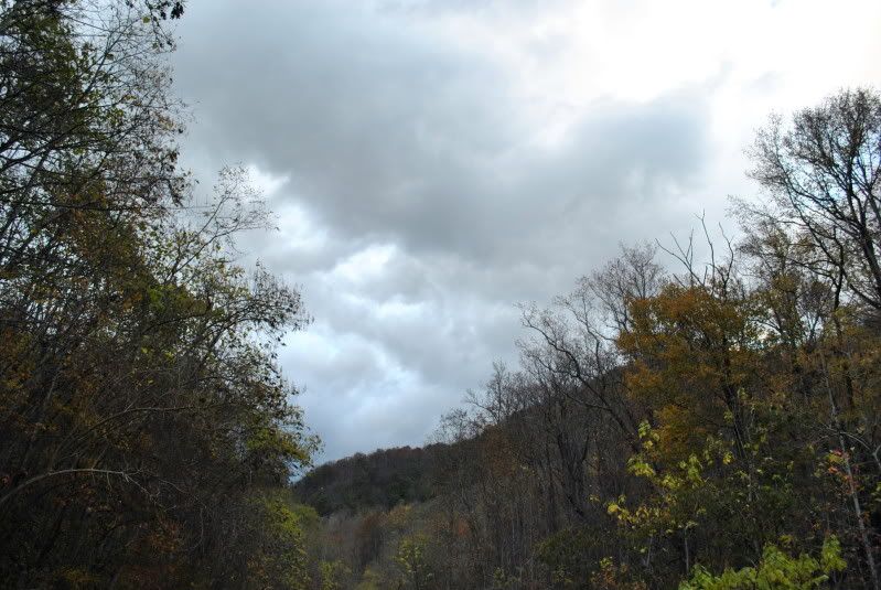 DSC_5404.jpg
