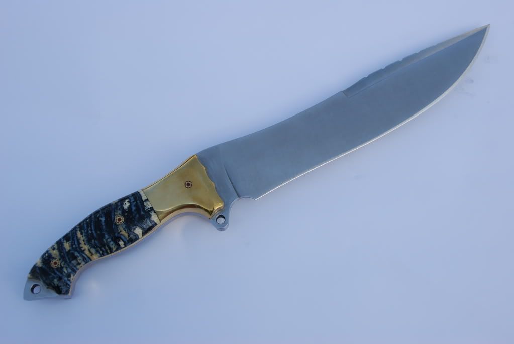 Busse006.jpg