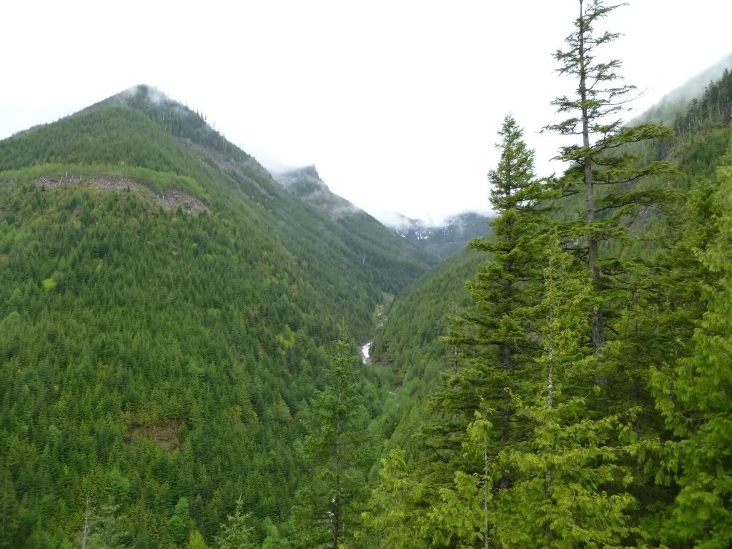 P1000158.jpg