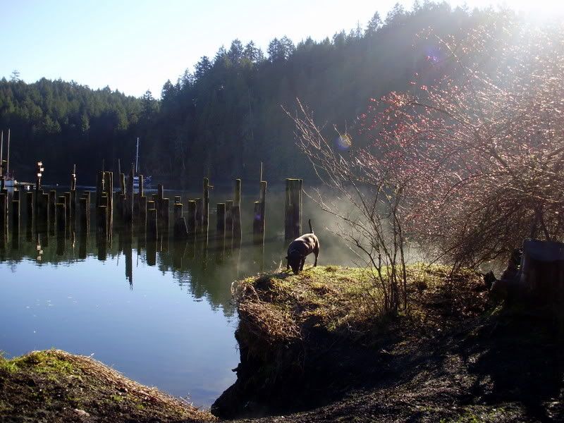 P1180007.jpg