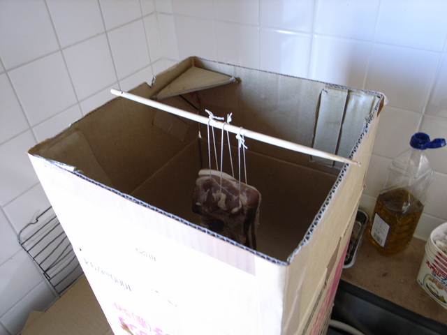 2008.11.27.R0017141.JPG