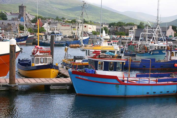 Dingle.jpg