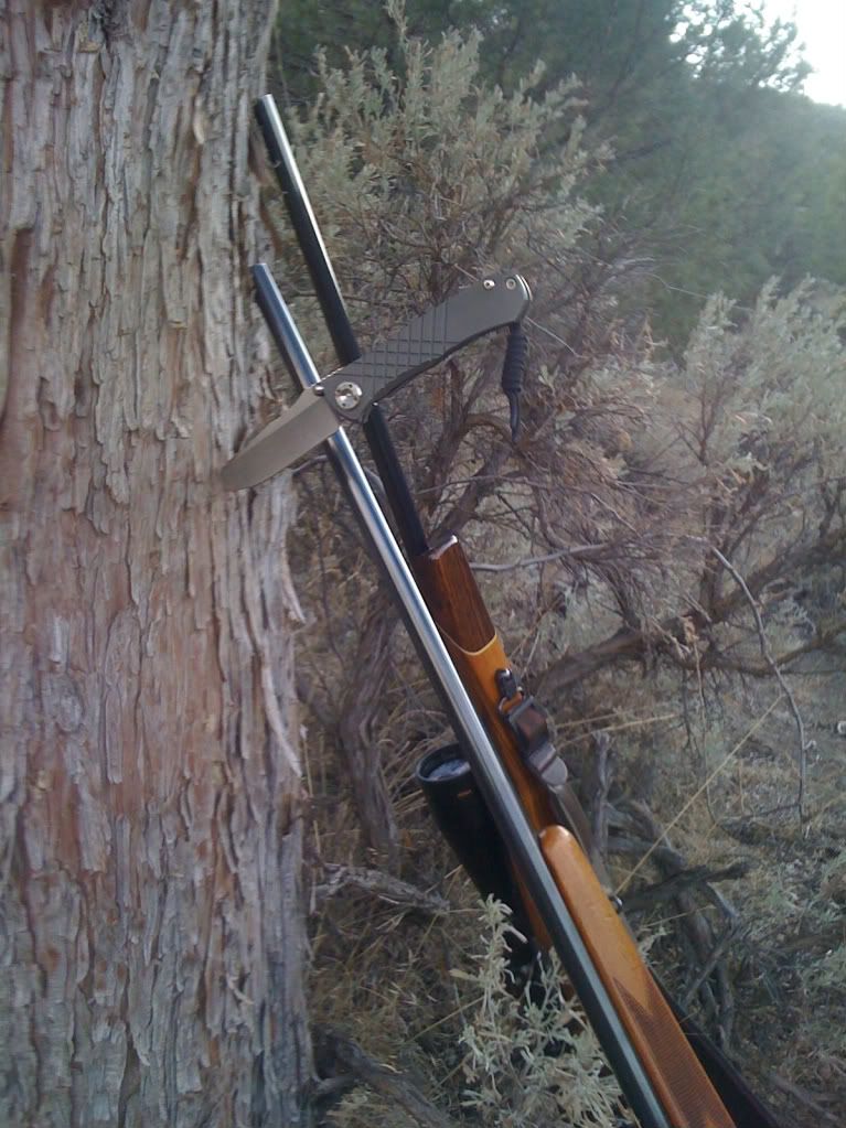 Picture083.jpg