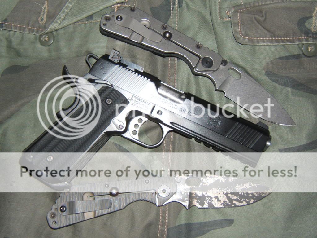 2008_0825TRPg10_strider0008.jpg