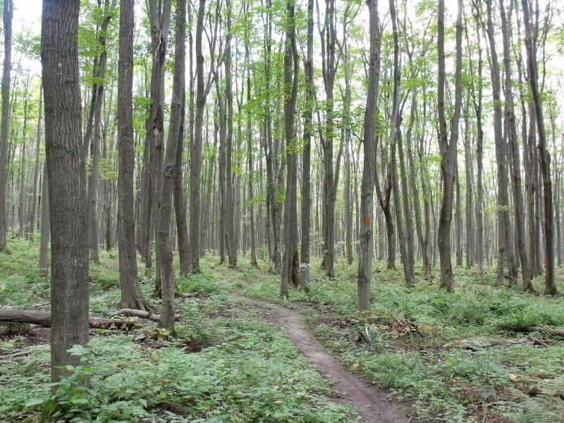 DSCF3530.jpg
