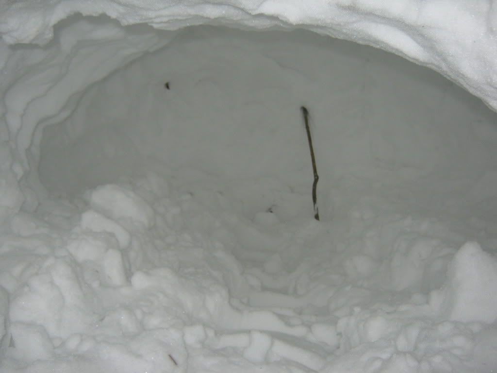 shelter6.jpg