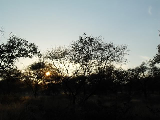 Sunset.jpg