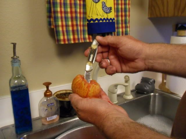 puttingupmaters2010003.jpg