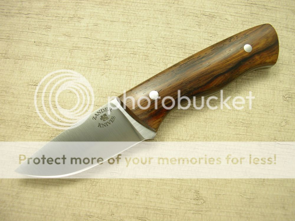 IMGP2104_zpsea9f2d12.jpg