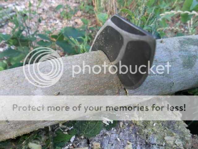 100_2070.jpg