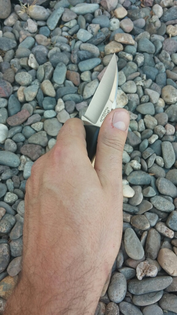 GtBm26u.jpg