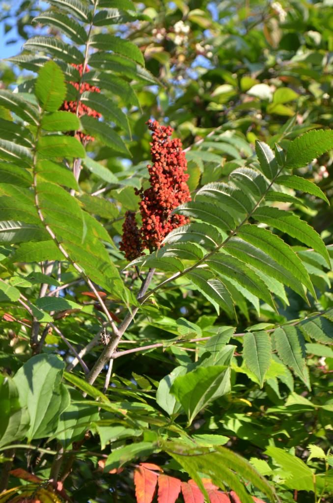 KGD_0511.jpg