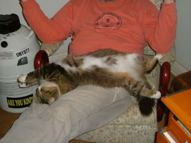 msgoodpussy.jpg