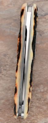 tbose-358stagrogershalfwhittler3-5.jpg