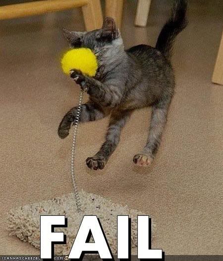 lolcat_FAIL.jpg