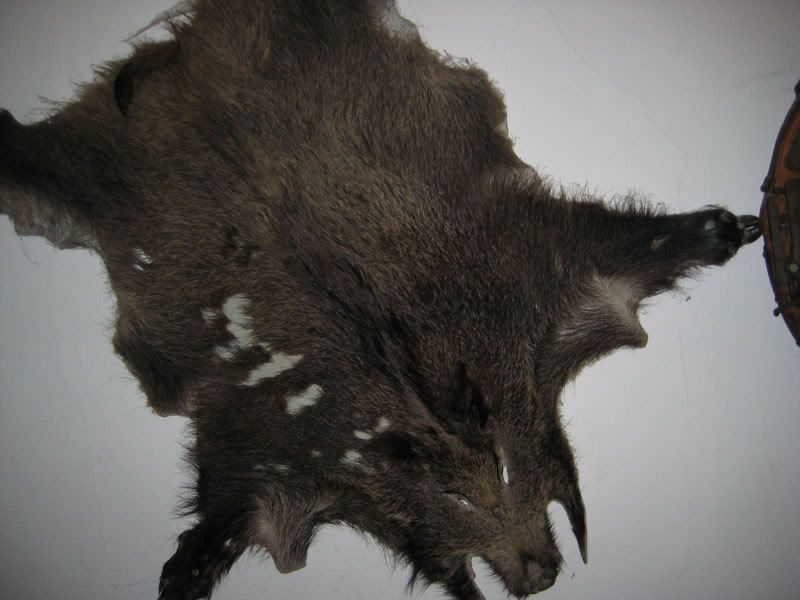 hog_skin.jpg