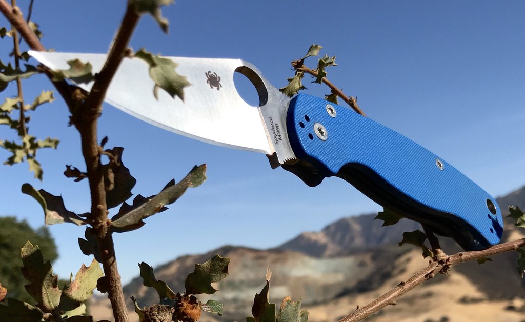 D8FELCXh.jpg