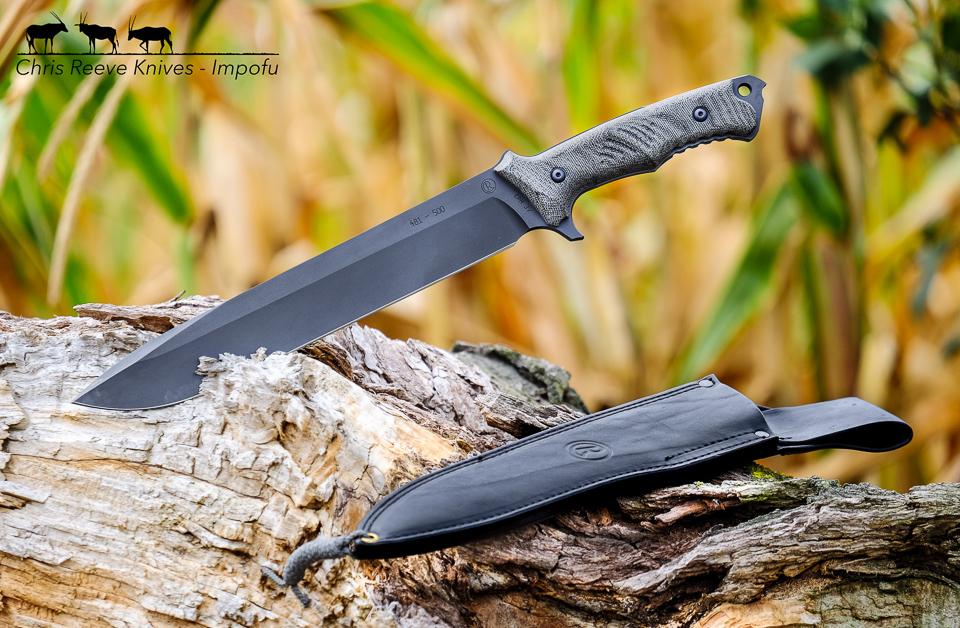 crk_impofu_antelope_960.jpg