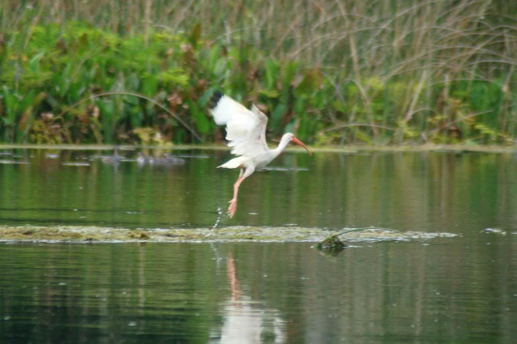 DSC_0070.jpg