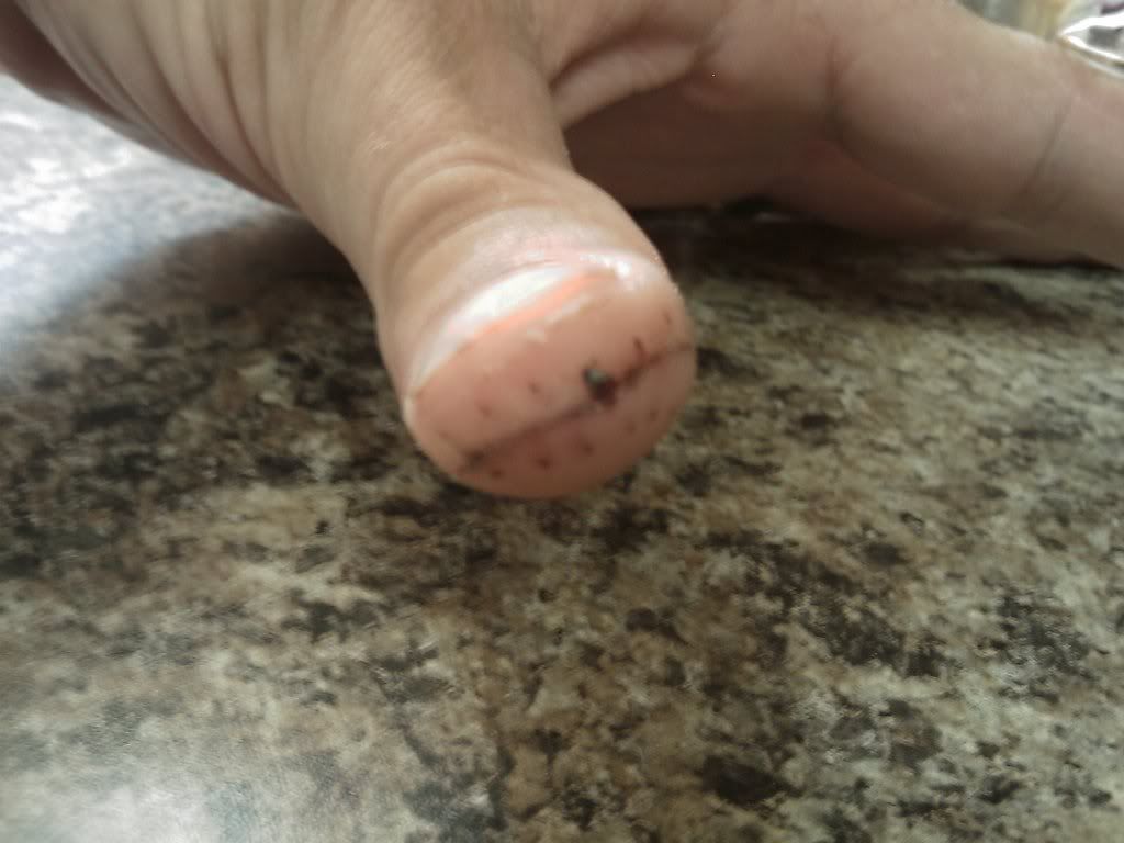 IMAG0143.jpg