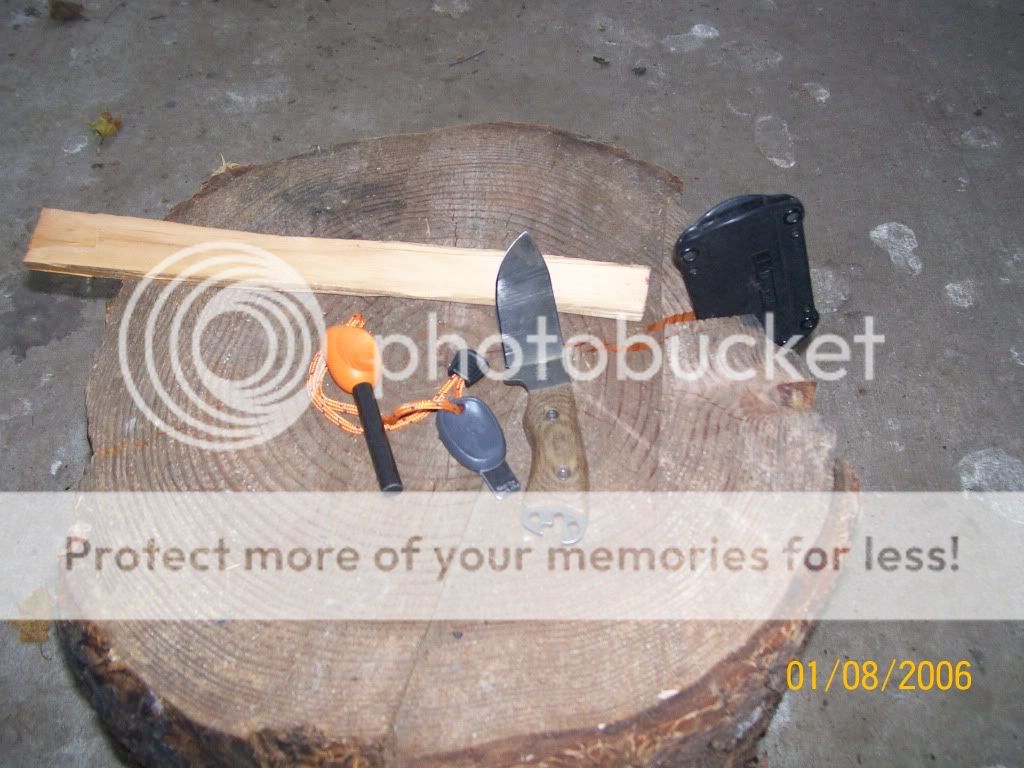100_3747.jpg