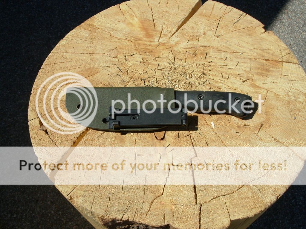 DSCN1115.jpg