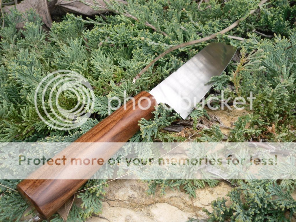049_zpsjiy5eawq.jpg
