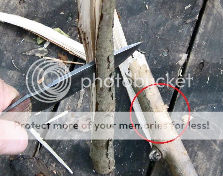 marksonbaton-2.jpg