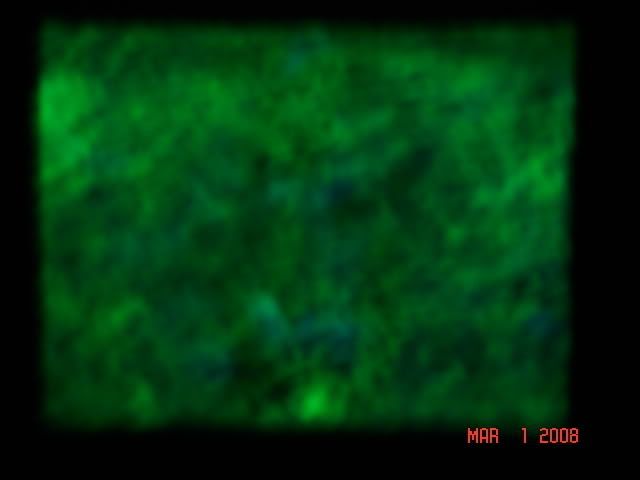 DSC01906.jpg