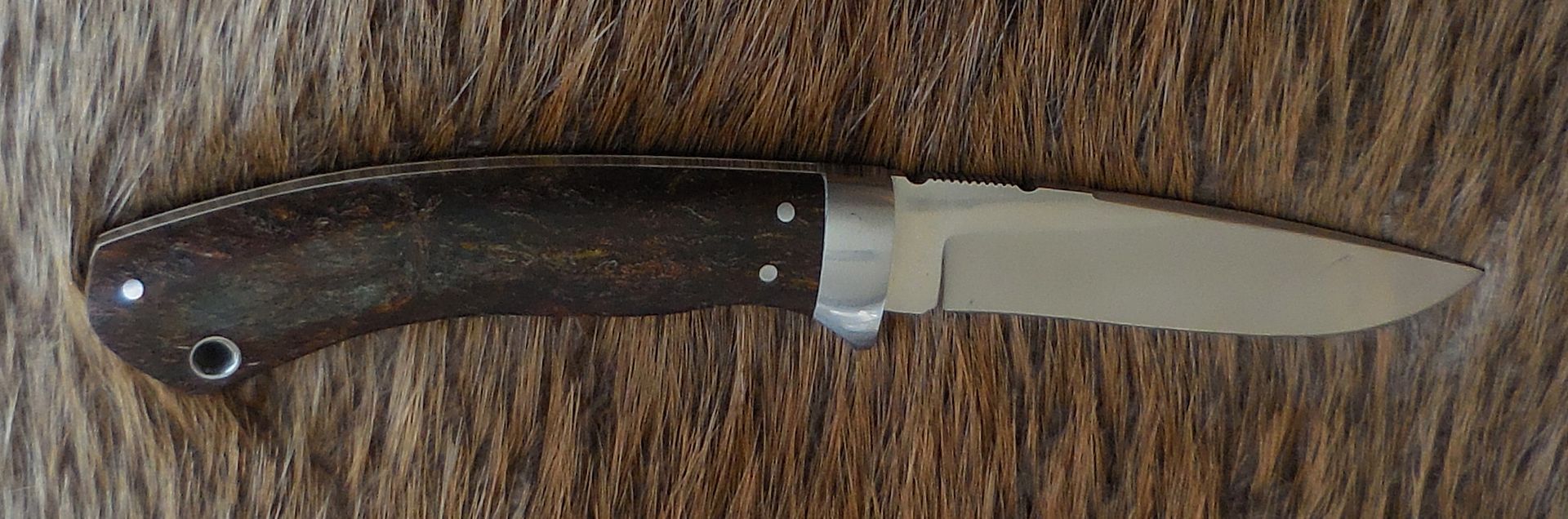 DSCN4699_zpscopglayj.jpg