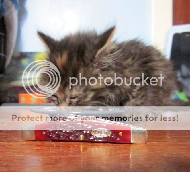 IMG_9789.jpg~original