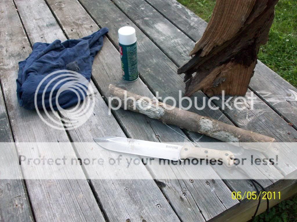 100_2162.jpg