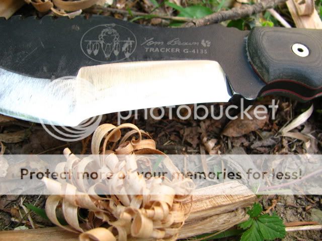 trackerpostsimon008.jpg