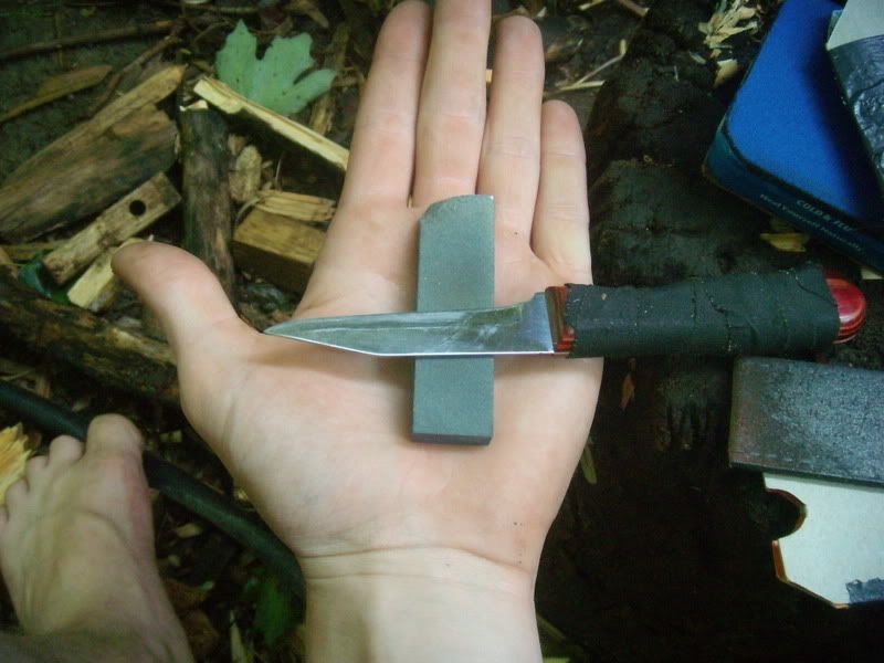 DSCN6557.jpg