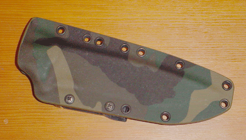 DSC02821.gif