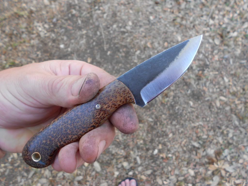 RedPalmMiserywhip033.jpg