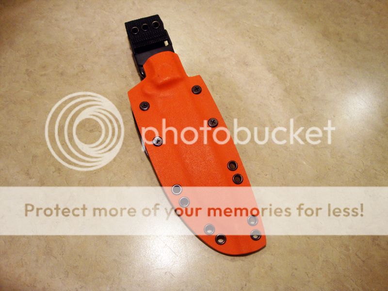 DSC08676_zps6acb9d4d.jpg