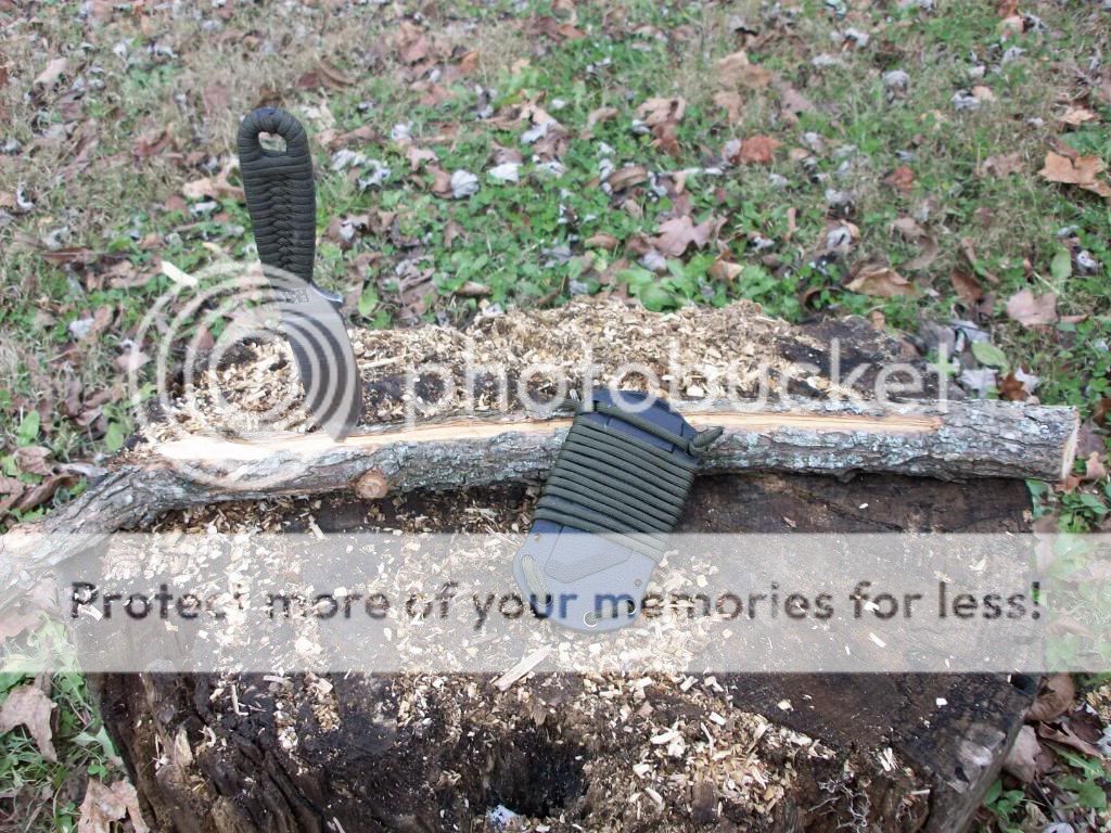 100_1678.jpg