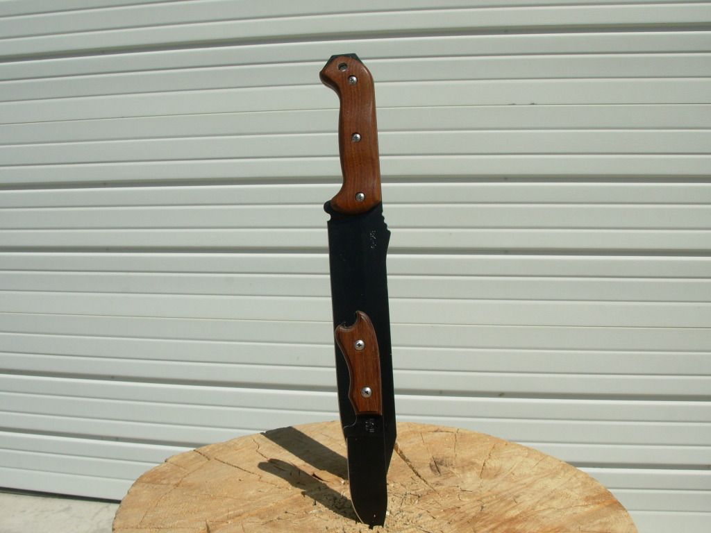 DSCN0892.jpg