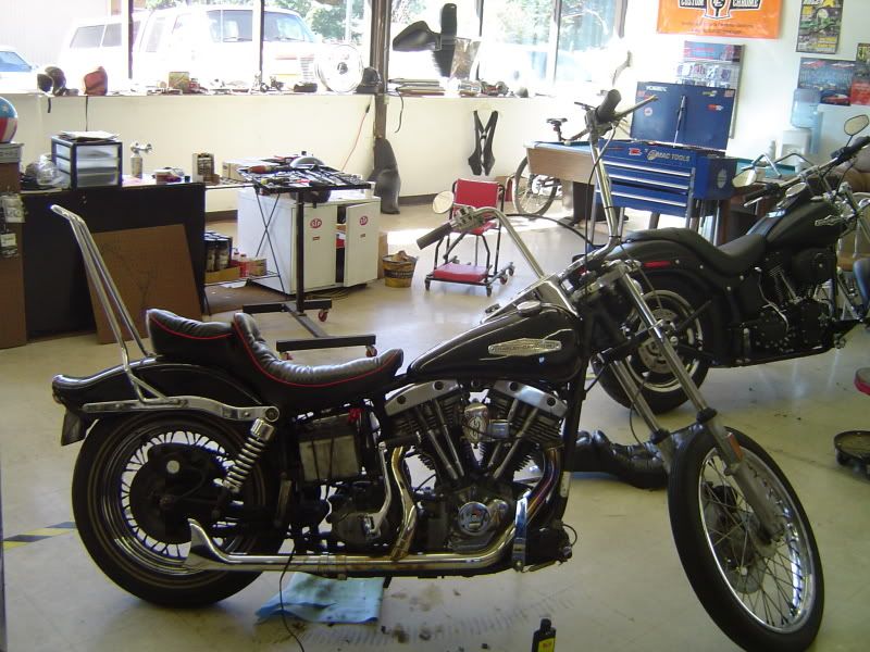 BreasPictures069.jpg