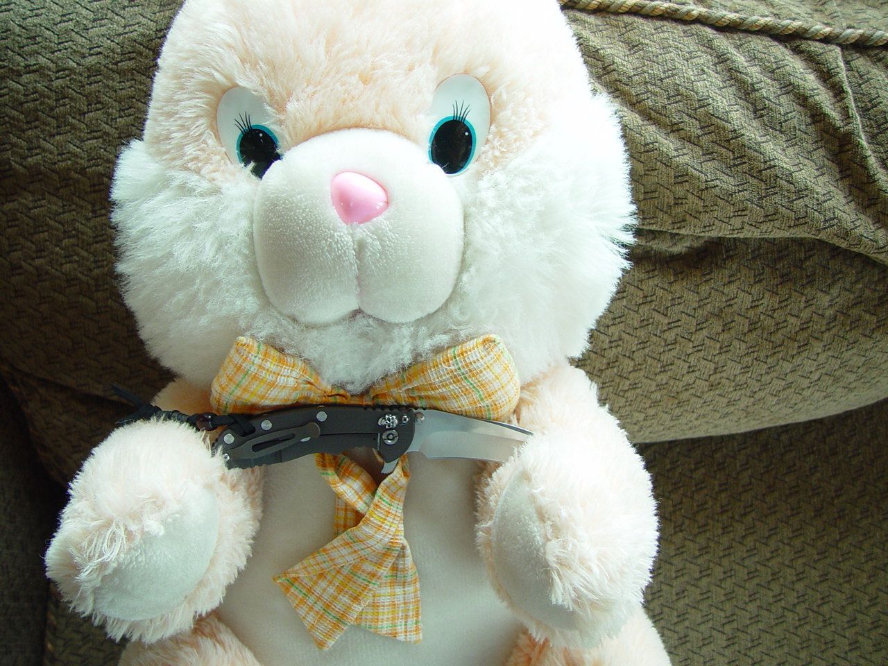 DSC08364.jpg
