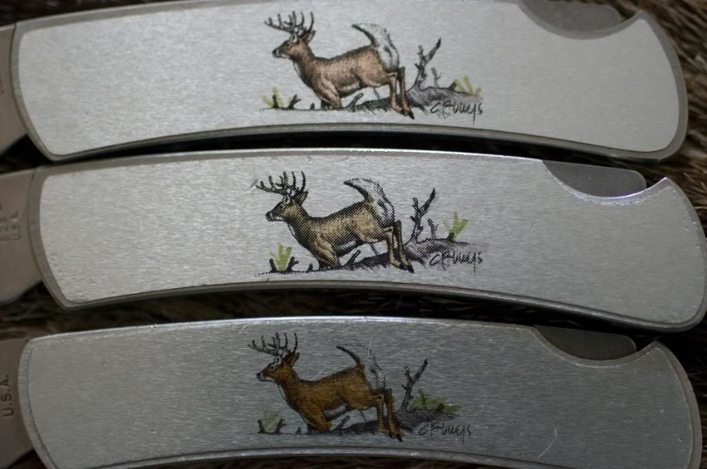 Buck525DeerdreiGriff.jpg