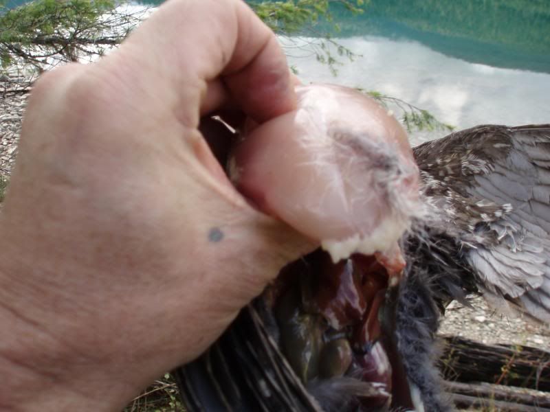 Oct2011023.jpg