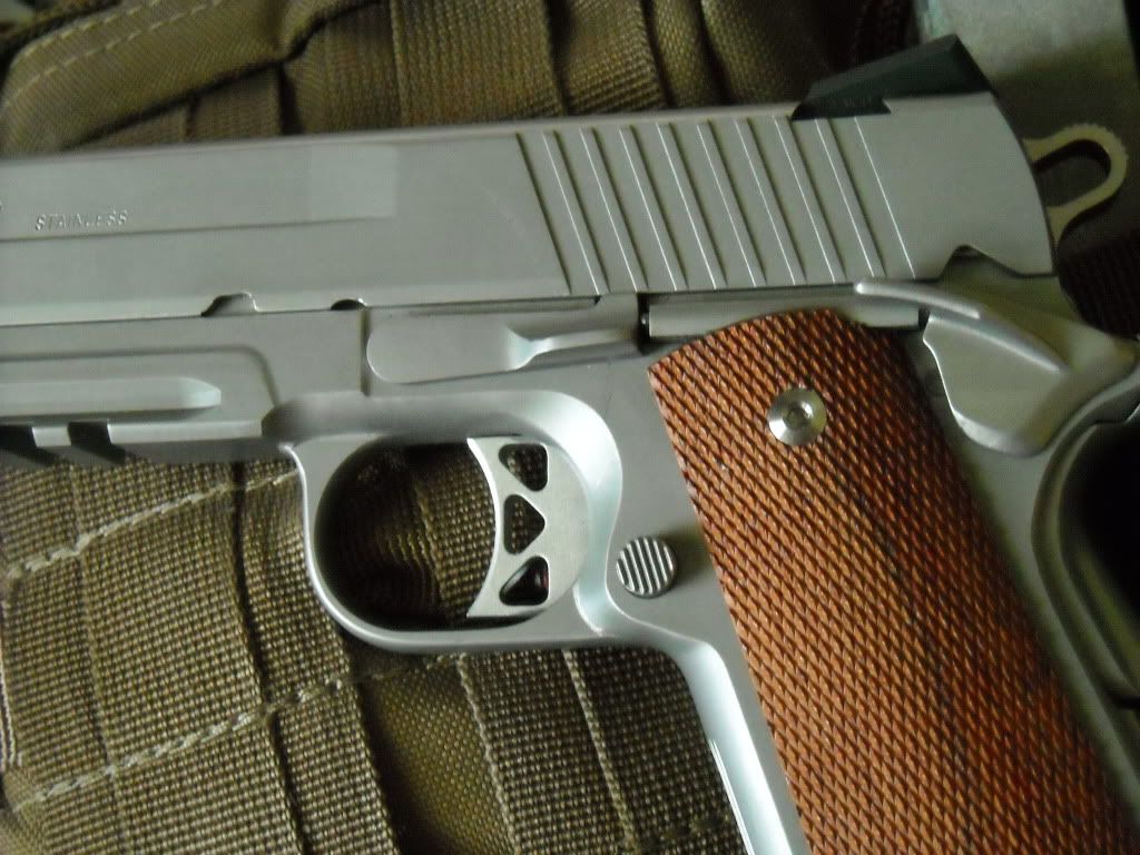 SIGGSR1001.jpg