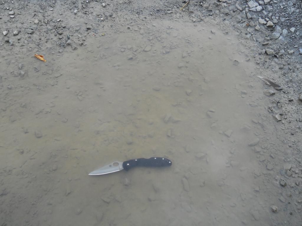 Delicapicsagain006_zpsa74d6d56.jpg