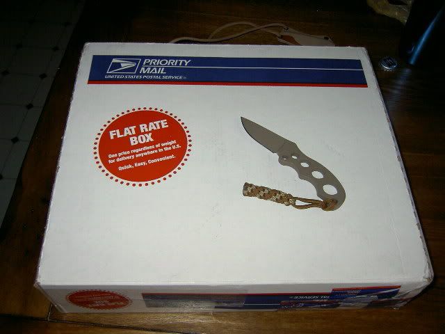 PICT3972.jpg